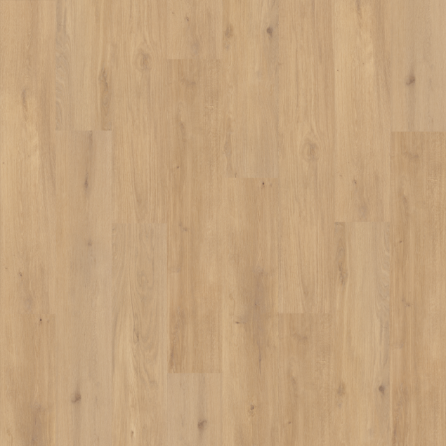 Van Gogh Canadian Nude Oak